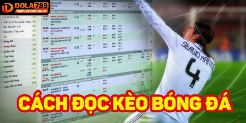 Chia sẻ cách đọc kèo dành cho tân thủ