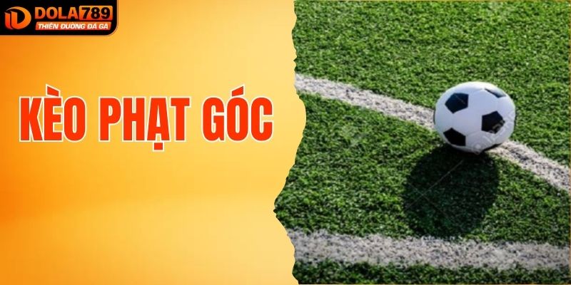 Kèo Phạt Góc - Tất Tần Tật Những Điều Cần Biết Từ DOLA789