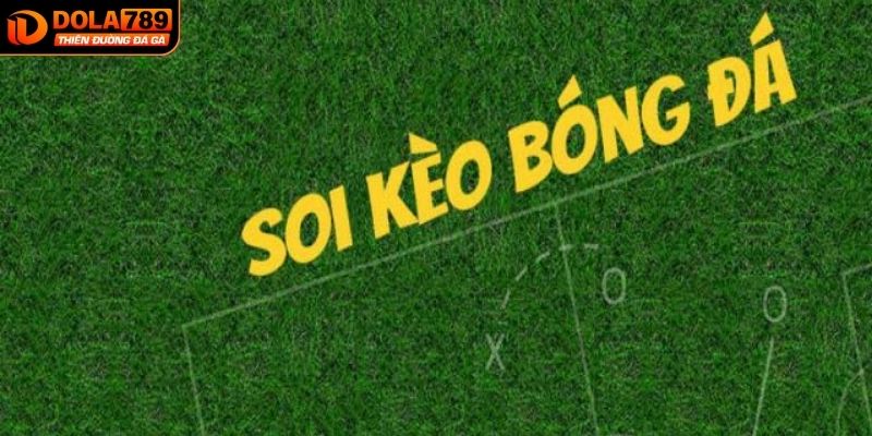 Tổng hợp một số mẹo soi kèo dễ trúng